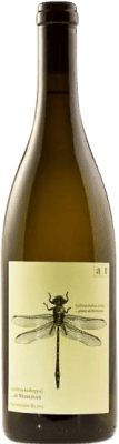 57,95 € Envio grátis | Vinho branco Andreas Tscheppe Green Dragonfly Reserva Estiria Áustria Sauvignon Branca Garrafa 75 cl
