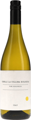 10,95 € Spedizione Gratuita | Vino bianco Cirelli D.O.C. Trebbiano d'Abruzzo Abruzzo Italia Trebbiano d'Abruzzo Bottiglia 75 cl