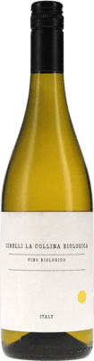 8,95 € Envoi gratuit | Vin blanc Cirelli D.O.C. Trebbiano d'Abruzzo Abruzzes Italie Trebbiano d'Abruzzo Bouteille 75 cl