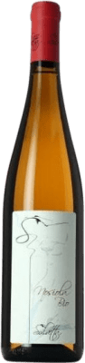 22,95 € Kostenloser Versand | Weißwein Salvetta I.G.T. Vigneti delle Dolomiti Trentino Italien Nosiola Eco — Biologisch 75 cl