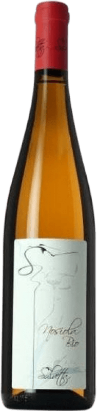 22,95 € Envio grátis | Vinho branco Salvetta I.G.T. Vigneti delle Dolomiti Trentino Itália Nosiola Garrafa 75 cl