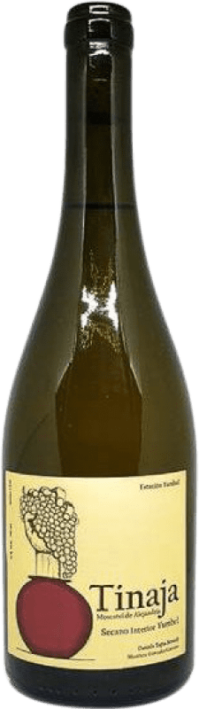 19,95 € Бесплатная доставка | Белое вино Estación Yumbel Tinaja Bío Bío Valley Чили Muscat Giallo бутылка 75 cl