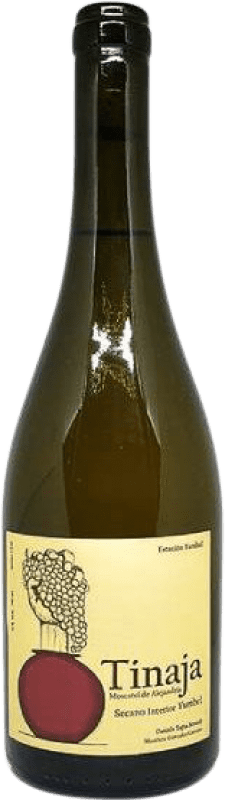 19,95 € Kostenloser Versand | Weißwein Estación Yumbel Tinaja Bío Bío Valley Chile Muskateller Flasche 75 cl