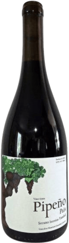 18,95 € Бесплатная доставка | Красное вино Estación Yumbel Pipeño Bío Bío Valley Чили бутылка 75 cl