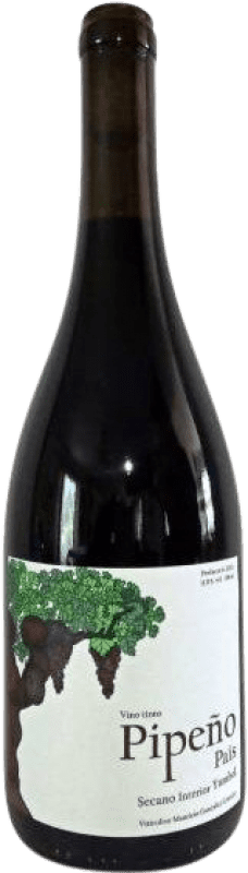 18,95 € Envío gratis | Vino tinto Estación Yumbel Pipeño Bío Bío Valley Chile Botella 75 cl