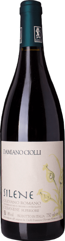 16,95 € Free Shipping | Red wine Damiano Ciolli Silene D.O.C. Cesanese di Olevano Romano Lazio Italy Cesanese, Cesanese di Affile Bottle 75 cl
