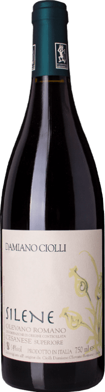 19,95 € 送料無料 | 赤ワイン Damiano Ciolli Silene D.O.C. Cesanese di Olevano Romano ラツィオ イタリア Cesanese, Cesanese di Affile ボトル 75 cl