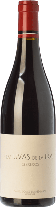 97,95 € Free Shipping | Red wine Landi Las Uvas de la Ira Aged D.O.P. Cebreros Spain Grenache Bottle 75 cl
