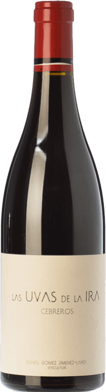 96,95 € Envío gratis | Vino Tinto Landi Las Uvas de la Ira Crianza D.O.P. Cebreros España Garnacha 75 cl