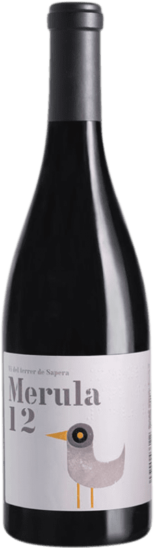 18,95 € Spedizione Gratuita | Vino Rosso DG Merula D.O. Penedès Catalogna Spagna Merlot 75 cl