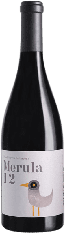 12,95 € Spedizione Gratuita | Vino rosso DG Merula D.O. Penedès Catalogna Spagna Merlot Bottiglia 75 cl