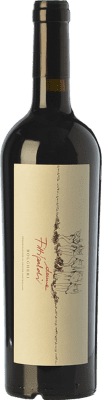25,95 € Free Shipping | Red wine Donne Fittipaldi D.O.C. Bolgheri Tuscany Italy Merlot, Cabernet Sauvignon, Cabernet Franc, Petit Verdot Bottle 75 cl