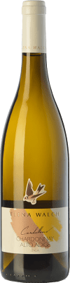 23,95 € Kostenloser Versand | Weißwein Elena Walch Cardellino D.O.C. Alto Adige Trentino-Südtirol Italien Chardonnay Flasche 75 cl