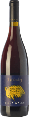 61,95 € Free Shipping | Red wine Elena Walch Ludwig D.O.C. Alto Adige Trentino-Alto Adige Italy Pinot Black Bottle 75 cl
