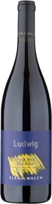 45,95 € Kostenloser Versand | Rotwein Elena Walch Ludwig D.O.C. Alto Adige Trentino-Südtirol Italien Pinot Noir — Spätburgunder 75 cl