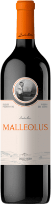 47,95 € 送料無料 | 赤ワイン Emilio Moro Malleolus 高齢者 D.O. Ribera del Duero カスティーリャ・イ・レオン スペイン Tempranillo ボトル 75 cl