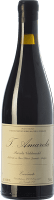 Envínate Amarela Parcela Valdemedel Tinta Amarela Crianza — Kurze Fassreifung 75 cl