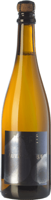 14,95 € Free Shipping | Spirits Éric Bordelet Sidre Poiré Authentique I.G.P. Normandia - Sidra France Bottle 75 cl