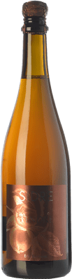 15,95 € Free Shipping | Spirits Éric Bordelet Sidre Tendre I.G.P. Normandia - Sidra France Bottle 75 cl