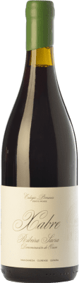 16,95 € Free Shipping | Red wine Fento Xabre Aged D.O. Ribeira Sacra Galicia Spain Grenache, Mencía, Sousón, Juan García Bottle 75 cl