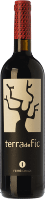 19,95 € Kostenloser Versand | Rotwein Ferré i Catasús Terra 1 Cep Jung D.O.Ca. Priorat Katalonien Spanien Garnacha — Grenache, Cariñena — Carignan 75 cl