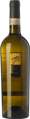 19,95 € Бесплатная доставка | Белое вино Feudi di San Gregorio D.O.C.G. Fiano d'Avellino Кампанья Италия Fiano бутылка 75 cl