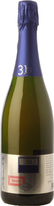 14,95 € 免费送货 | 白起泡酒 Filipa Pato Espumante 3b I.G. Beiras Beiras的 葡萄牙 Baga, Bical 瓶子 75 cl