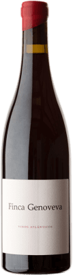 55,95 € Free Shipping | Red wine Forjas del Salnés Goliardo Finca Genoveva Aged Spain Caíño Black Bottle 75 cl