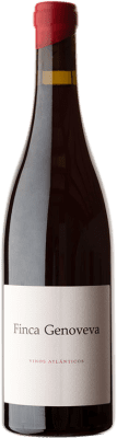 33,95 € Free Shipping | Red Wine Forjas del Salnés Goliardo Finca Genoveva Crianza — Aged Spain Caíño 75 cl