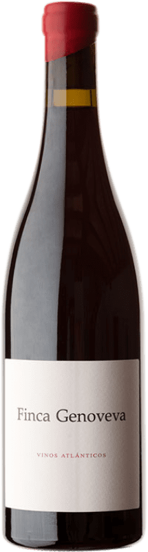 28,95 € Free Shipping | Red wine Forjas del Salnés Goliardo Finca Genoveva Aged Spain Caíño Black Bottle 75 cl