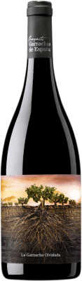 11,95 € Envio grátis | Vinho tinto Proyecto Garnachas La Garnacha Olvidada de Aragón D.O. Calatayud Aragão Espanha Grenache Garrafa 75 cl