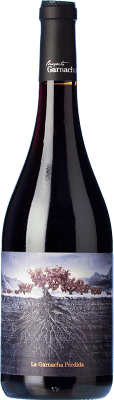 29,95 € Бесплатная доставка | Красное вино Proyecto Garnachas La Garnacha Perdida del Pirineo Испания Grenache бутылка 75 cl