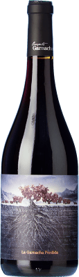 42,95 € 免费送货 | 红葡萄酒 Proyecto Garnachas La Garnacha Perdida del Pirineo 西班牙 Garnacha — 歌海娜 75 cl