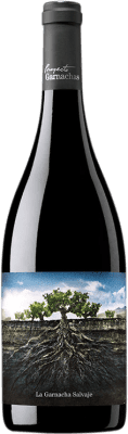 9,95 € Бесплатная доставка | Красное вино Proyecto Garnachas La Garnacha Salvaje del Moncayo I.G.P. Vino de la Tierra Ribera del Queiles Арагон Испания Grenache бутылка 75 cl