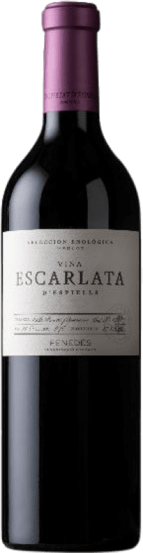16,95 € 免费送货 | 红酒 Juvé y Camps Viña Escarlata 预订 D.O. Penedès 加泰罗尼亚 西班牙 Merlot 瓶子 75 cl