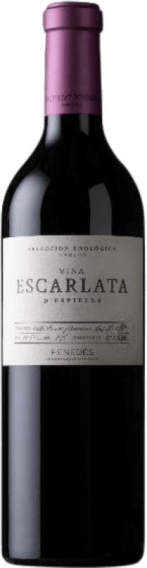 16,95 € Бесплатная доставка | Красное вино Juvé y Camps Viña Escarlata Резерва D.O. Penedès Каталония Испания Merlot — Мерло Бутылка 75 cl