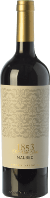 10,95 € Free Shipping | Red wine Kauzo 1853 Joven I.G. Valle de Uco Uco Valley Argentina Malbec Bottle 75 cl