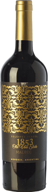 19,95 € 免费送货 | 红酒 Kauzo 1853 Selected Parcel 预订 I.G. Valle de Uco Uco谷 阿根廷 Malbec 瓶子 75 cl