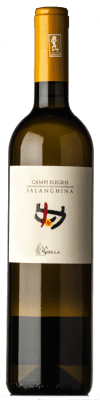 19,95 € Бесплатная доставка | Белое вино La Sibilla D.O.C. Campi Flegrei Кампанья Италия Falanghina бутылка 75 cl