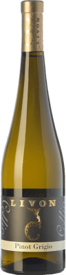 16,95 € Spedizione Gratuita | Vino bianco Livon Pinot Grigio D.O.C. Collio Goriziano-Collio Friuli-Venezia Giulia Italia Pinot Grigio Bottiglia 75 cl