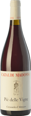 24,95 € Free Shipping | Rosé wine Cataldi Madonna Piè delle Vigne D.O.C. Cerasuolo d'Abruzzo Abruzzo Italy Montepulciano Bottle 75 cl