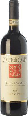51,95 € Envoi gratuit | Vin rouge Mamete Prevostini Corte di Cama D.O.C.G. Sforzato di Valtellina Lombardia Italie Nebbiolo Bouteille 75 cl