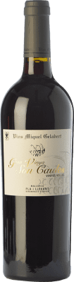 Miquel Gelabert Gran Vinya Son Caules Crianza — 陈酿 75 cl