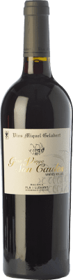 45,95 € 送料無料 | 赤ワイン Miquel Gelabert Gran Vinya Son Caules 高齢者 D.O. Pla i Llevant バレアレス諸島 スペイン Merlot, Syrah, Cabernet Sauvignon, Callet, Mantonegro ボトル 75 cl