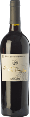 Miquel Gelabert Gran Vinya Son Caules Alterung 75 cl