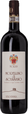 15,95 € Envío gratis | Vino tinto Morisfarms D.O.C.G. Morellino di Scansano Toscana Italia Merlot, Syrah, Sangiovese Botella 75 cl