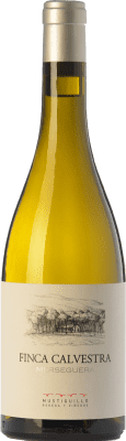 22,95 € Free Shipping | White wine Mustiguillo Finca Calvestra Aged D.O.P. Vino de Pago El Terrerazo Valencian Community Spain Merseguera Bottle 75 cl
