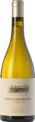 16,95 € Free Shipping | White wine Mustiguillo Finca Calvestra Crianza D.O.P. Vino de Pago El Terrerazo Valencian Community Spain Merseguera Bottle 75 cl