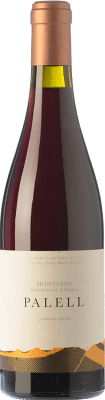 69,95 € Бесплатная доставка | Красное вино Orto Palell старения D.O. Montsant Каталония Испания Grenache Hairy бутылка 75 cl