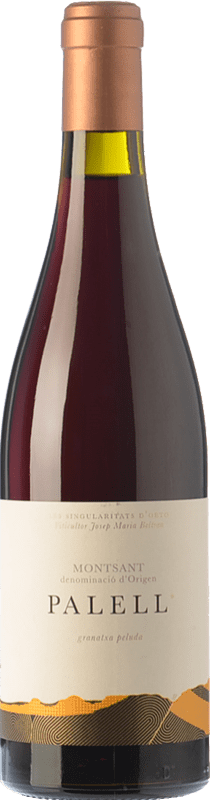 69,95 € Бесплатная доставка | Красное вино Orto Palell старения D.O. Montsant Каталония Испания Grenache Hairy бутылка 75 cl
